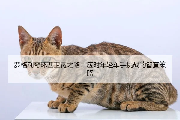 luo-ge-li-qi-huan-xi-wei-mian-zhi-lu-ying-dui-nian-qing-che-shou-tiao-zhan-de-zhi-hui-ce-lve-2-772.jpg